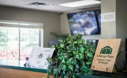Close up of a plant and a desk at a storage facility.
